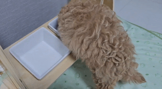 GIF 2024-09-13 오전 9-31-11.gif
