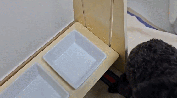 GIF 2024-09-13 오전 9-22-54.gif