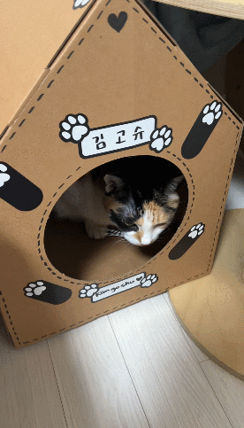 GIF 2024-12-11 오후 12-21-02.gif