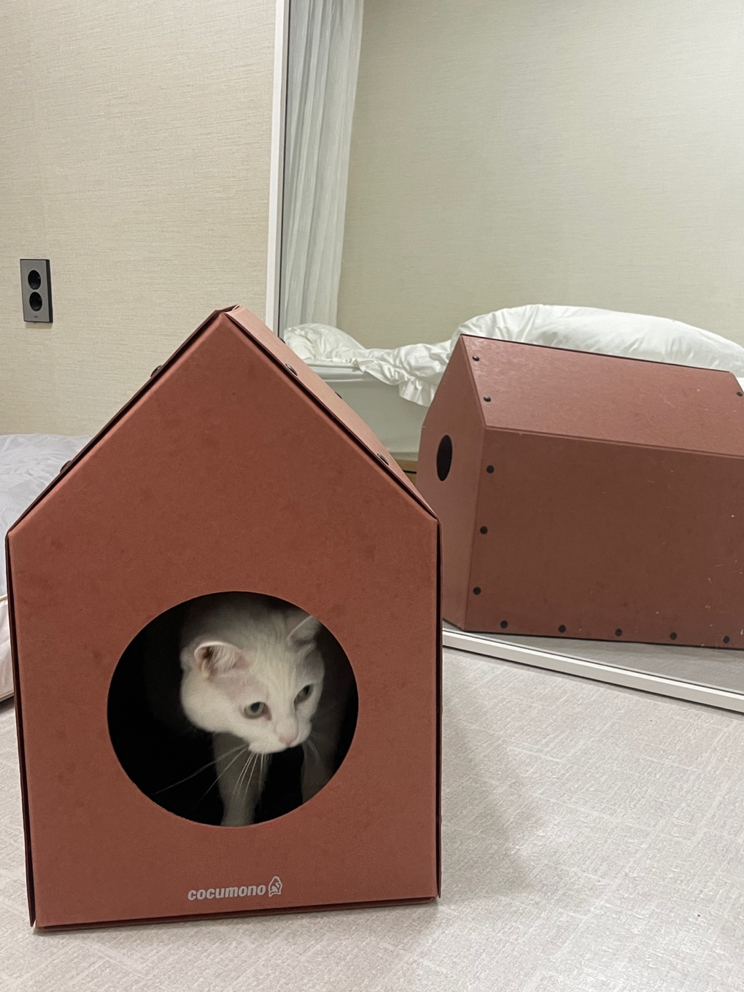 KakaoTalk_20241209_105145408_03.jpg
