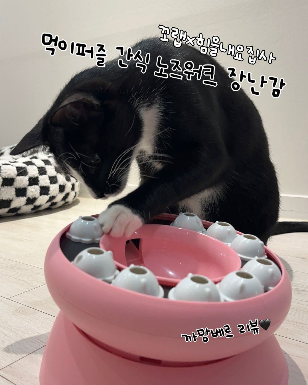 #제품제공 #체험단  꼬랩x힘을내요집사  🫧먹이퍼즐 간식 노즈워크 장난감  체험단에 선정되어 까망베르가 체험-리뷰해 보았습니다!   @ggolab_official , @cheerupcat_official  저희 까망베르네는 먹이 퍼즐을 즐겨 사용하는 편인데요, 낮에 집사들이 길게 외출했을 때 발생할 수 있는 긴 공복을 예방하고, 야옹이 지능 계발(확실하진 않음 (1).jpg