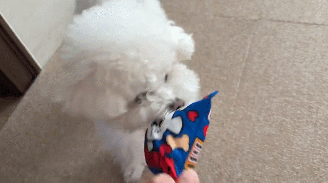 GIF 2024-12-19 오후 2-45-34.gif