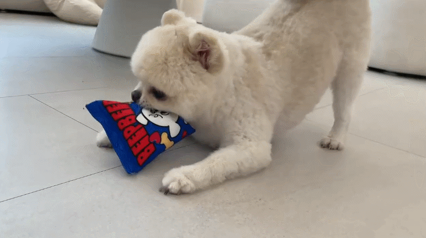 GIF 2024-12-19 오후 2-37-02.gif