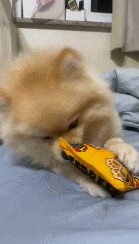 GIF 2024-10-25 오후 1-57-38.gif