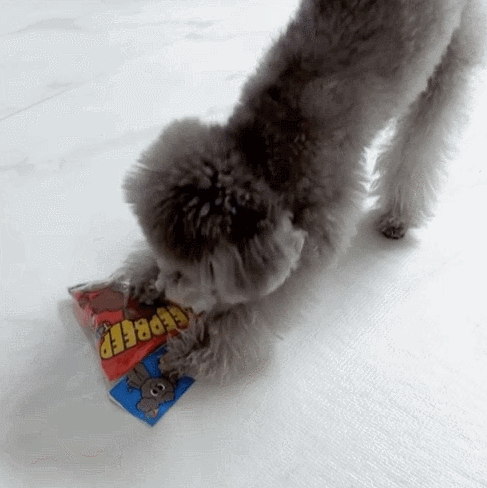 GIF 2024-12-23 오전 10-23-34.gif