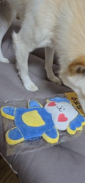 GIF 2024-11-27 오후 5-36-35.gif