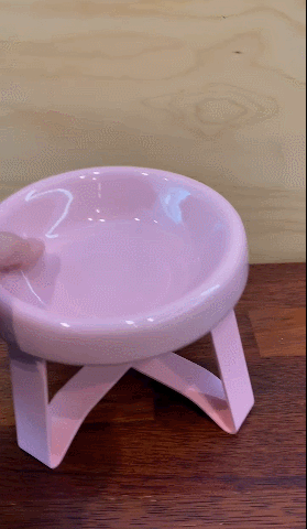GIF 2024-12-11 오후 12-15-16.gif