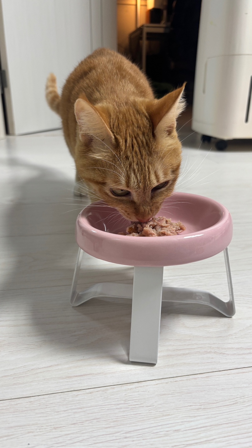 KakaoTalk_20241210_093921877_12.jpg