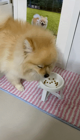 GIF 2024-12-11 오후 12-17-02.gif