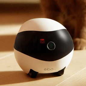 [이보] 자동 자가충전 24시간 영상녹화 고양이 강아지 움직이는 CCTV se버전