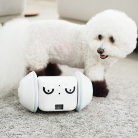 [디로펫] 강아지 분리불안 해소 움직이는 스마트 자동 장난감 로봇 펫반장