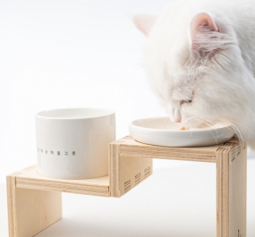 [꿈돌이의 디자인] 냥체공학 고양이 물그릇 밥그릇 세트