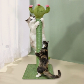 [멍냥이랑] 고양이 수직 선인장스크래쳐 장난감