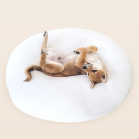 [펫코노미] 찹쌀모찌 강아지 고양이 방석 6color