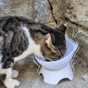 [나마스펫] 쿠앤크 캣페이스 고양이 밥그릇 강아지 물그릇 애견 1구 13cm