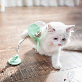 [아서아리] 오뚝이볼 고양이 흥미유발 깃털 장난감