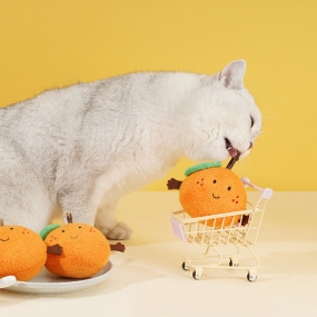 [아서아리] 고양이 장난감 마따따비 귤 애착 인형