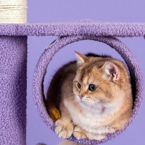 [아서아리] 고양이 둥지 해먹 스크래쳐 기둥형 캣타워