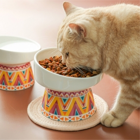 [힘을내요 집사] 강아지 고양이 밥그릇 경사형 인디언 도자기 식기 2color