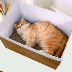 [캣냐옹] MEOWMEOW 종이백 스크래쳐