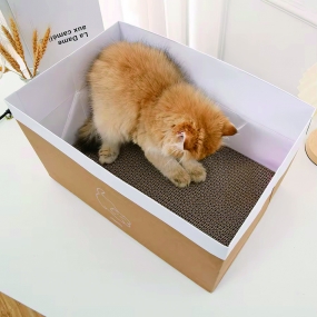 [캣냐옹] MEOWMEOW 종이백 스크래쳐