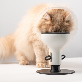 [꿈돌이의디자인] 높이조절 세라믹 고양이 밥그릇