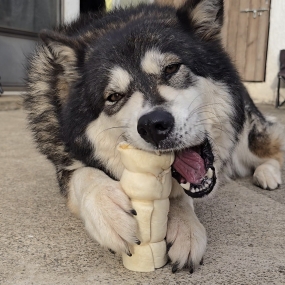 [공동구매] 버틀러티x킹댕즈 9/26~10/1 칙롤 상세페이지 확인용